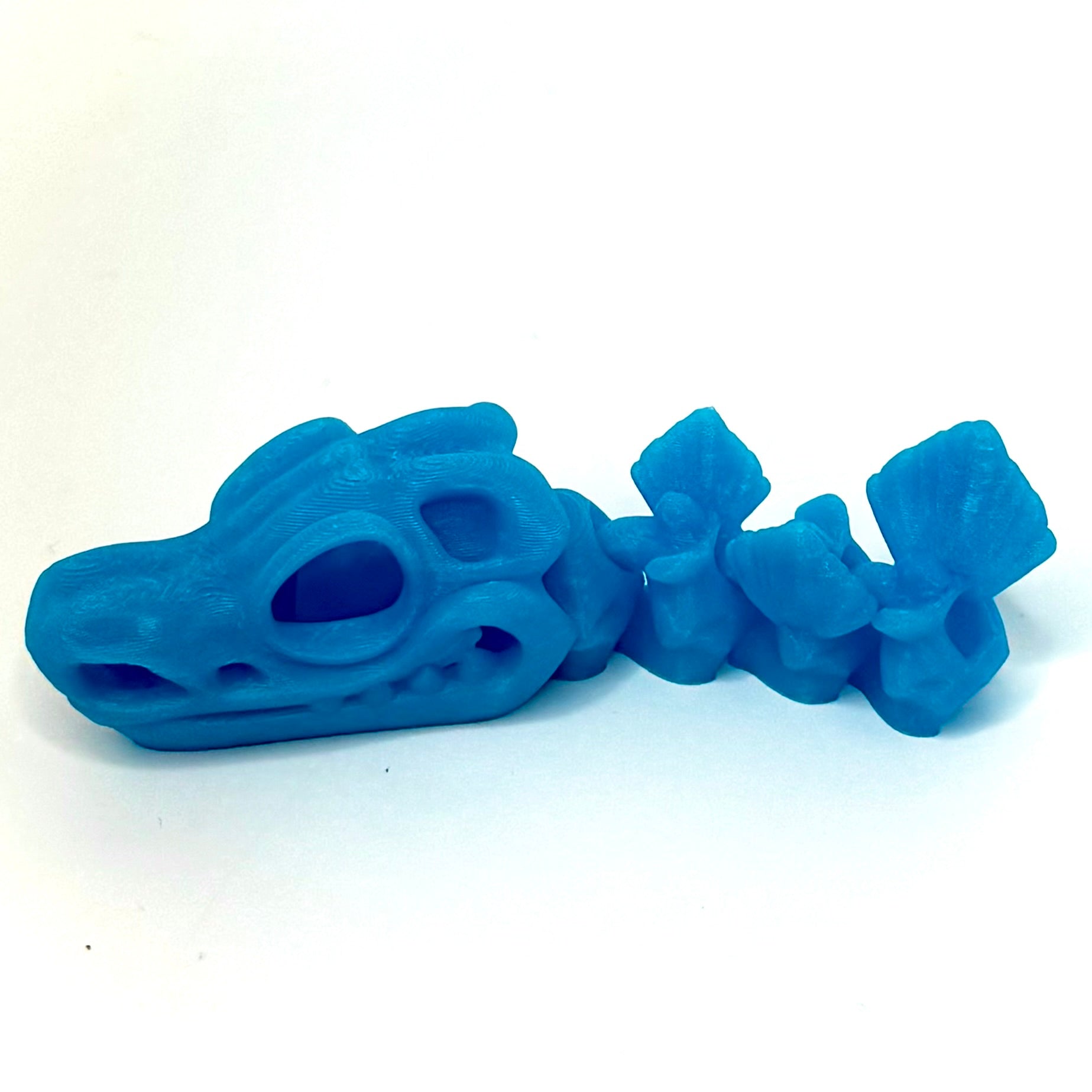 Flexi Czaszka
