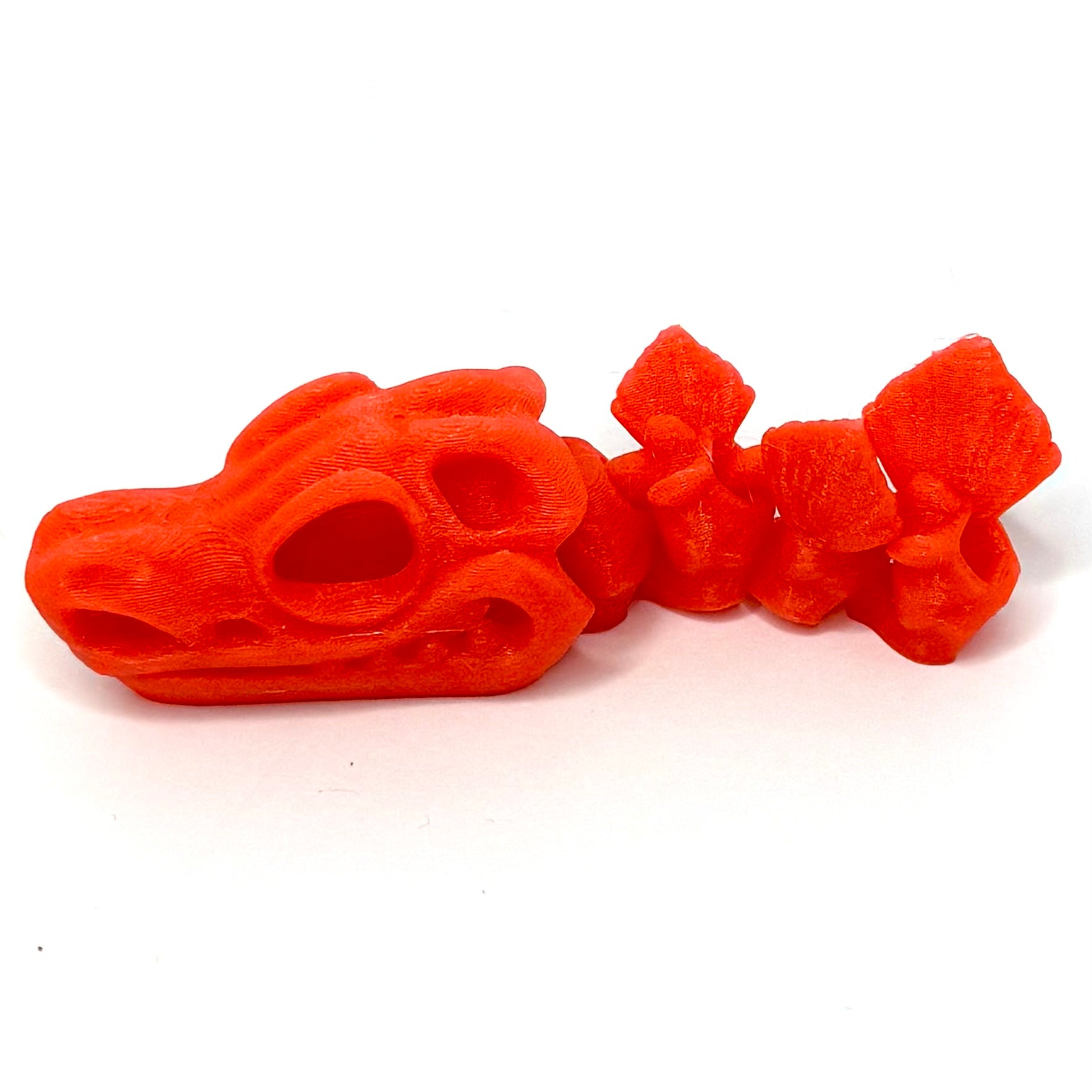 Flexi Czaszka