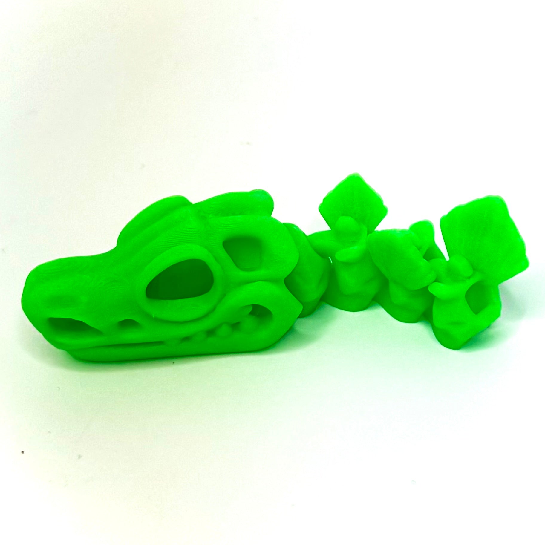 Flexi Czaszka