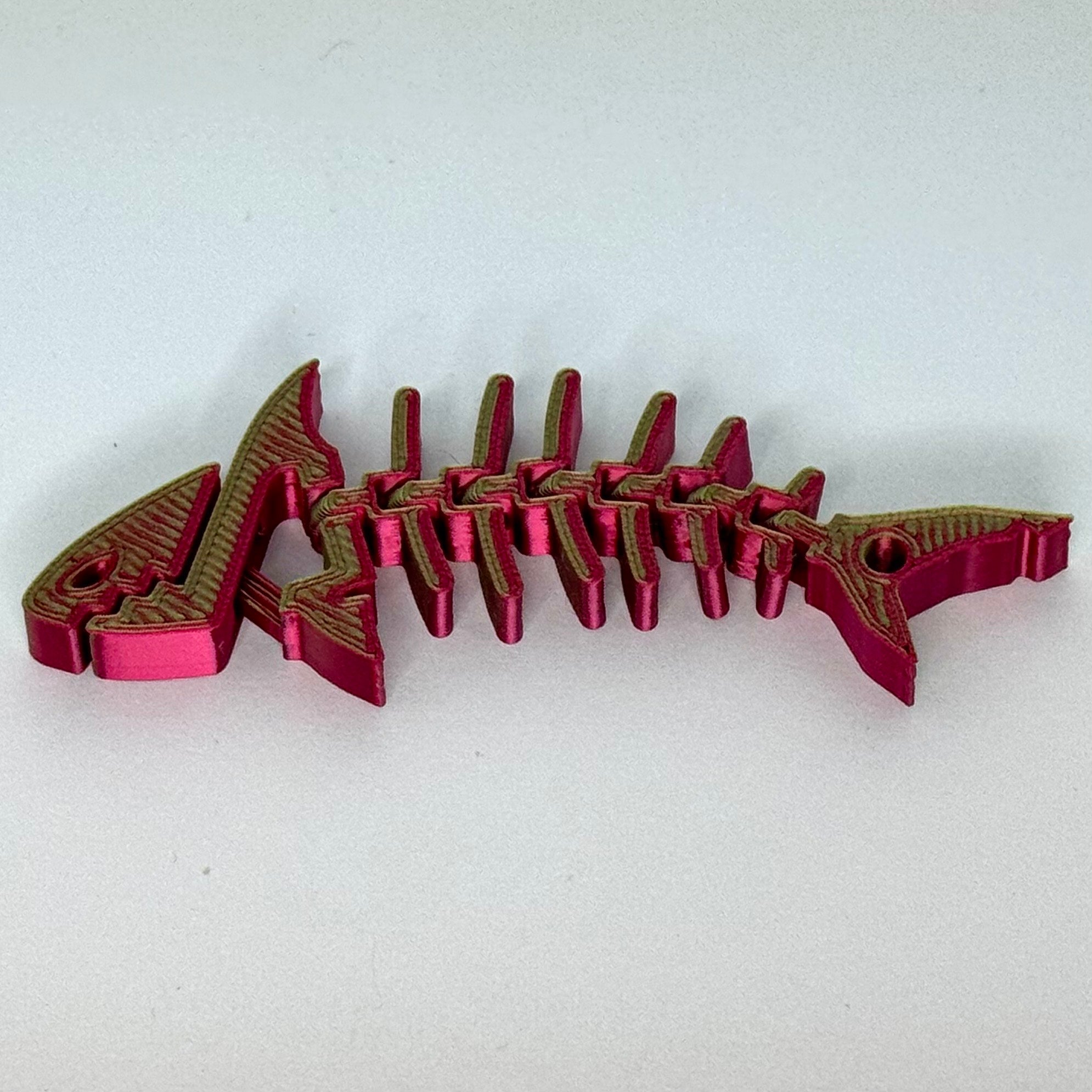 FlexiShark - DragonFruit